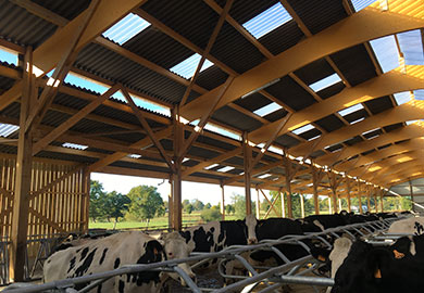 Bâtiment agricoles et équins Avranches Ducey Manche